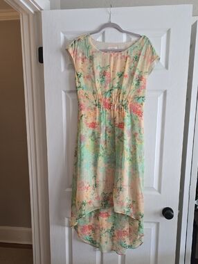 Sundance Floral High-Low Dress in Mint & Pink
